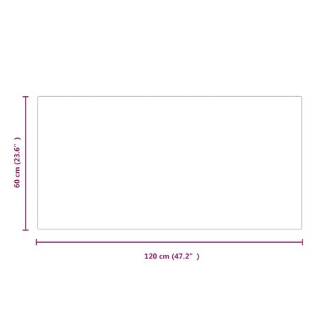 Vuurplaats Glazen Plaat Transparant 120 x 60 cm Glas 7