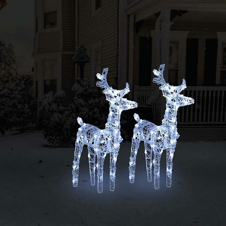 Kerstrendieren 2 st 80 LED's acryl koudwit 1