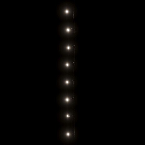 Lichtsnoer 1000 LED's binnen en buiten IP44 100 m koudwit 5
