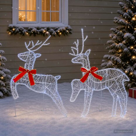 Kerst Rendier 2 st 40 LED's Koel wit 43 x 19 x 65 cm 1