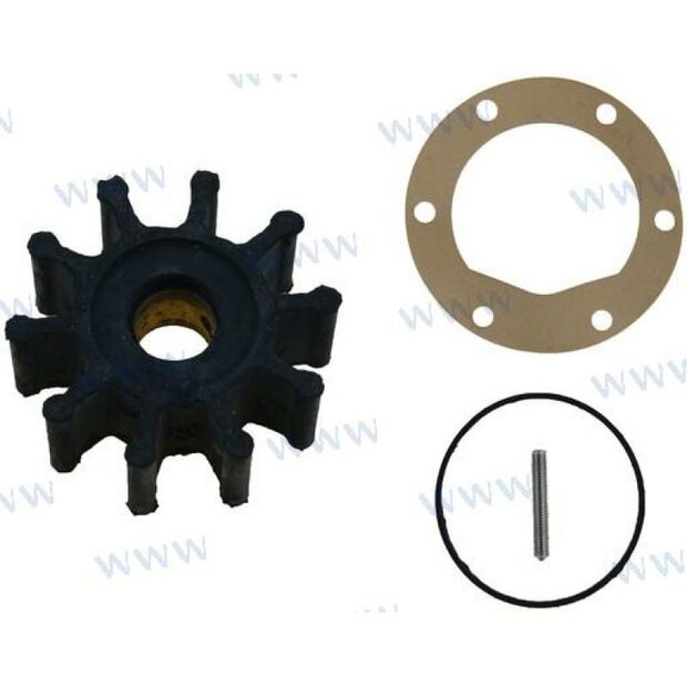 CEF500156GX - Impeller 18673-0001 Jabsco 1