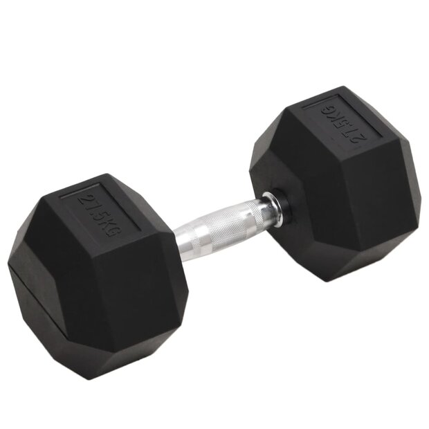 Halters 27,5 kg gietijzer 1