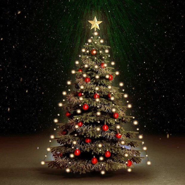 Kerstboomverlichting met 210 LED&amp;apos;s net 210 cm 1