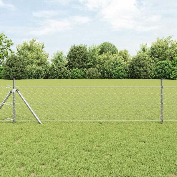 Afrasteringspaal Zilver 10 x 0,4 m (50 mm mesh) Staal 1