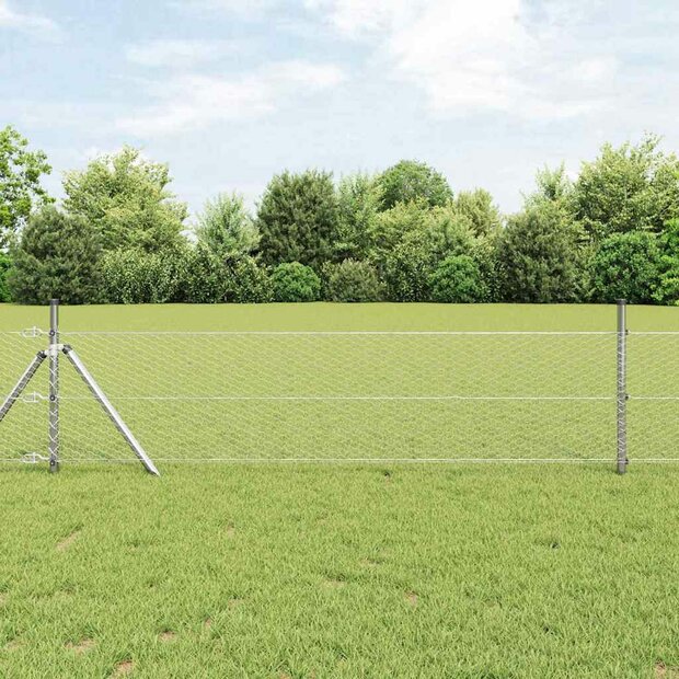 Afrasteringspaal Zilver 10 x 0,5 m (25 mm gaas) Staal 1