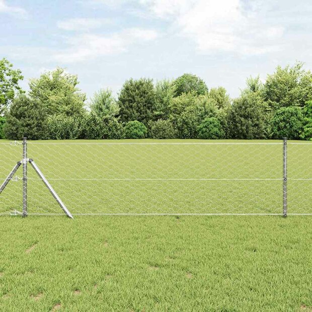 Afrasteringspaal Zilver 10 x 0,6 m (50 mm gaas) Staal 1