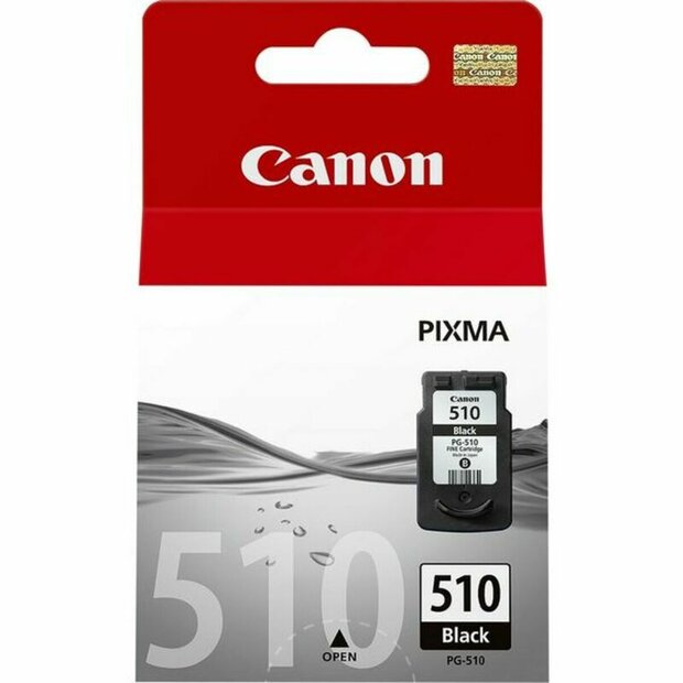 Originele inktcartridge Canon 2970B001             1