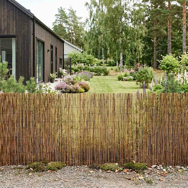 Tuinhek Ge&euml; carboniseerd 300 x 90 cm Riet 1