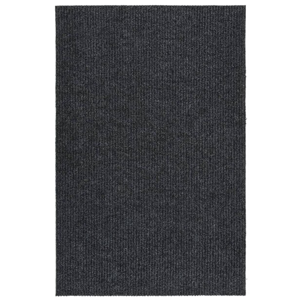 Droogloopmat 100x150 cm antracietkleurig 1