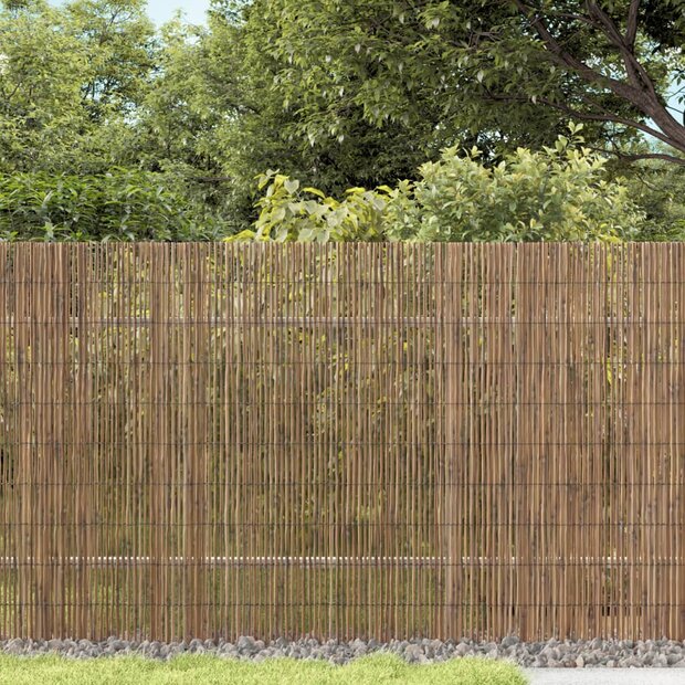 Tuinscherm 500x90 cm riet 1
