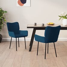 Eetkamerstoelen 2 st fluweel blauw