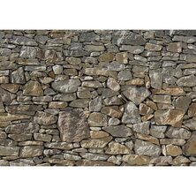 Komar Fotobehang Stone Wall 368x254 cm 8-727 4036834087272