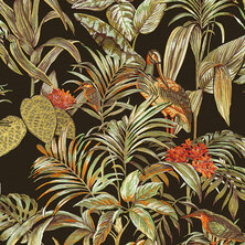 DUTCH WALLCOVERINGS Behang Bird-of-Paradise zwart 8809660031711