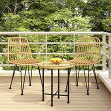 Tuinstoelen 2 st 48x62 84 cm PE-rattan