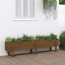 Plantenbak verhoogd 160x30x38 cm massief grenenhout honingbruin