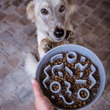 DISTRICT70 Slowfeeder voor honden 28 cm bamboe ijsblauw