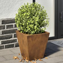 Plantenbakken 2 st 30x30x30 cm cortenstaal